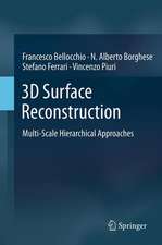 3D Surface Reconstruction: Multi-Scale Hierarchical Approaches