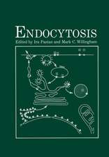 Endocytosis