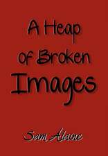 A Heap of Broken Images