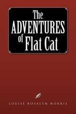 The Adventures of Flat Cat