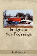 Bridges to New Beginnings