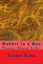 Rabbit in a Box: The True Story of a Gideon Who Delivered a Bible and a Message to a Mother Moments Before She Received Devastating New