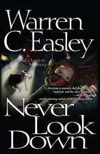 Never Look Down tpbk