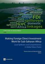 Making Foreign Direct Investment Work for Sub-Saharan Africa: Local Spillovers and Competitiveness in Global Value Chains