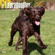 Labradoodles 2018 Wall Calendar