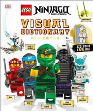 Kaplan, A: Lego Ninjago Visual Dictionary, New Edition