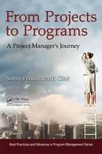 From Projects to Programs: A Project Manager's Journey