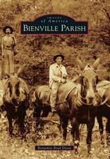 Bienville Parish