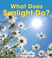 What Does Sunlight Do?