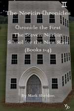 The Steven Noricin School for the New Race