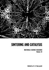 Sintering and Catalysis