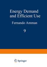 Energy Demand and Efficient Use