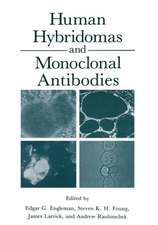 Human Hybridomas and Monoclonal Antibodies