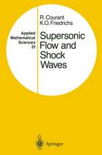 Supersonic Flow and Shock Waves