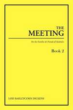 The Meeting Book 2