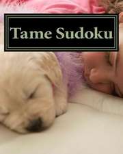 Tame Sudoku