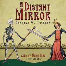 A Distant Mirror