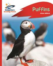 Milford, A: Reading Planet - Puffins - Red A: Rocket Phonics