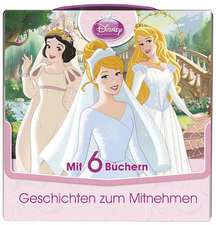 Disney Prinzessinnen - Geschichten zum Mitnehmen