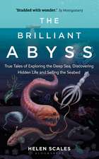 The Brilliant Abyss: True Tales of Exploring the Deep Sea, Discovering Hidden Life and Selling the Seabed