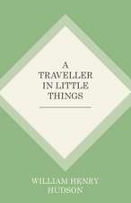 A Traveller in Little Things