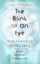 Kjaergaard, R: The Blink of an Eye