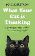 What Your Cat Is Thinking