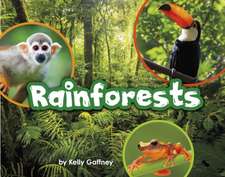 Gaffney, K: Rainforests