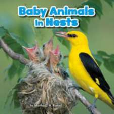 Baby Animals and Their Homes Pack A