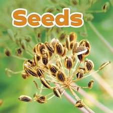 Seeds