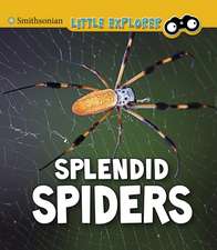 Higgins, M: Splendid Spiders