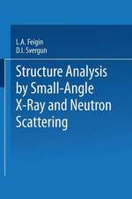 Structure Analysis by Small-Angle X-Ray and Neutron Scattering