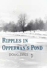 Ripples in Opperman's Pond