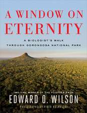 A Window on Eternity