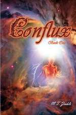 Conflux