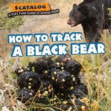 How to Track a Black Bear