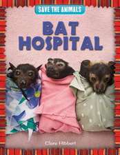 Bat Hospital