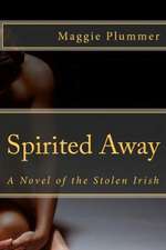 Spirited Away - A Novel of the Stolen Irish: Poverty 2 Prosperity