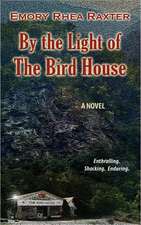 By the Light of the Bird House: The Natural Selection of Choice-Making Systems