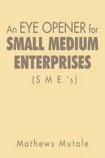 An Eye Opener for Small Medium Enterprises (Sme's)