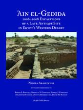 `Ain el–Gedida – 2006–2008 Excavations of a Late Antique Site in Egypt`s Western Desert (Amheida IV)