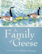 A Family of Geese