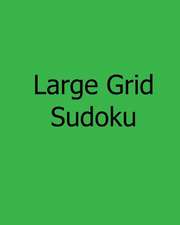 Large Grid Sudoku