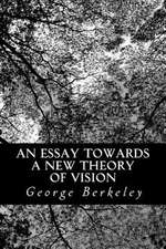 An Essay Towards a New Theory of Vision