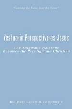 Yeshua-In-Perspective-As-Jesus