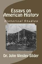 Essays on American History