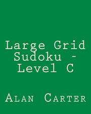 Large Grid Sudoku - Level C