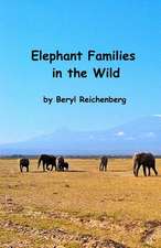 Elephant Families in the Wild