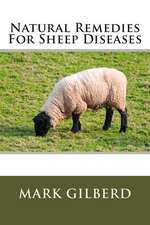 Natural Remedies for Sheep Diseases