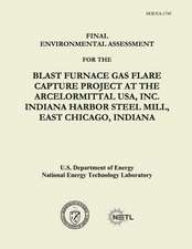 Final Environmental Assessment for the Blast Furnace Gas Flare Capture Project at the Arcelormittal USA, Inc. Indiana Harbor Steel Mill, East Chicago,